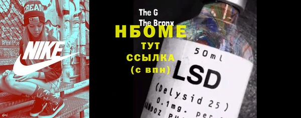 гашик Гатчина