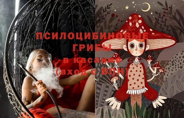 меф Переславль-Залесский