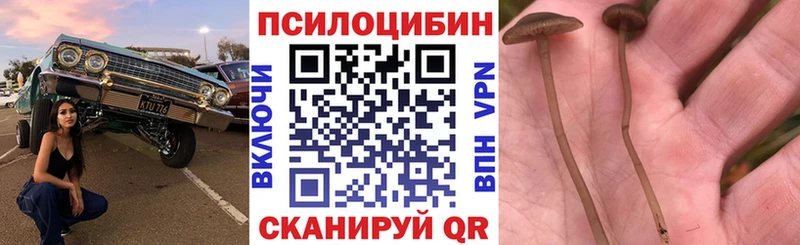Псилоцибиновые грибы мухоморы  Остров 